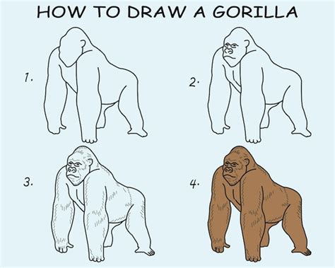 Premium Vector Step By Step To Draw A Gorilla Drawing Tutorial A