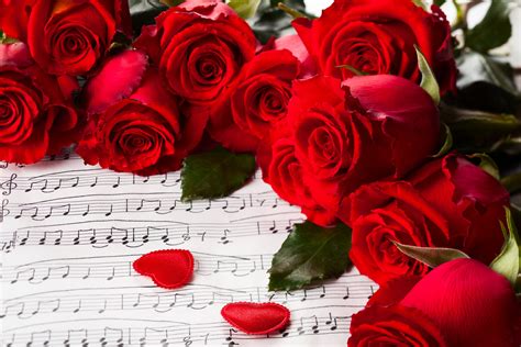 Hearts Valentines Day Red Roses Nature For You Roses Music