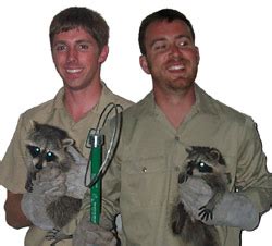 Request any service, anywhere with intently.co. Cincinnati Wildlife Control - Pest Animal Removal and Trapping