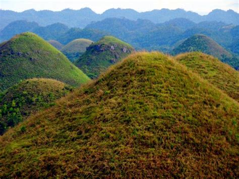 Panglaochocolate.guestreservations.com has been visited by 1m+ users in the past month Chocolate Hills, Philippines | Chocolate hills, Chocolate ...