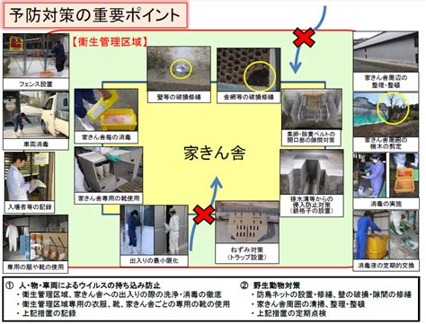 まもなく、翻訳履歴をご利用いただけるのはログインしている場合のみとなり、翻訳履歴の管理は マイ アクティビティ で一元化されます。 イディッシュ語. 鳥インフルエンザに関する情報：農林水産省