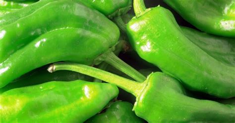 Padrón Pepper All About Heat Flavor Uses Substitutes