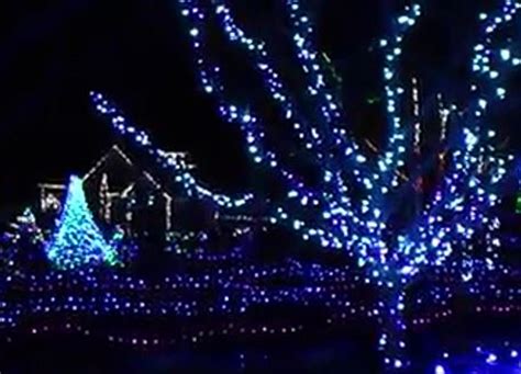 Road Trip Worthy Christmas Lights At Maine Botanical Gardens