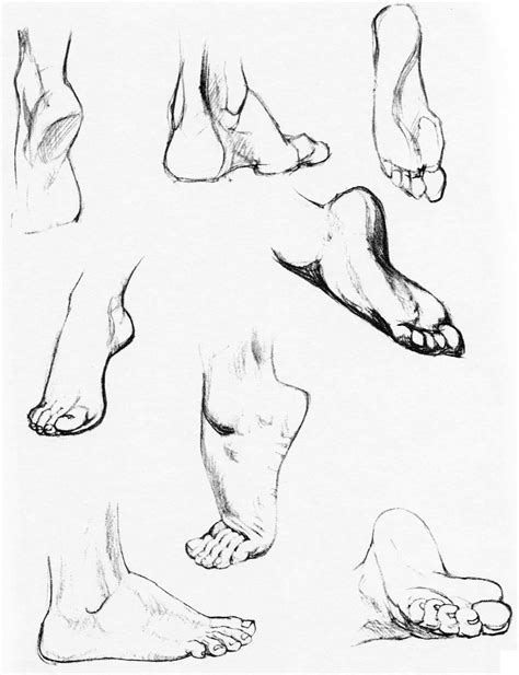 How To Draw The Foot Drawing Feet And The Anatomy Of Them Reference