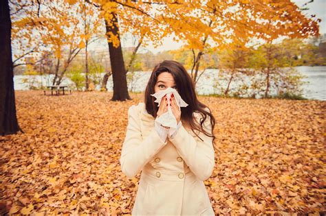 Fall Allergies And Your Treatment Options Research Center