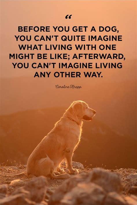 40 Best Dog Quotes Cute Sweet Quotes About Dogs