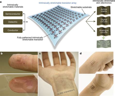 The Human Touch Stretchable Electronic Skin Can Feel Electronic Design