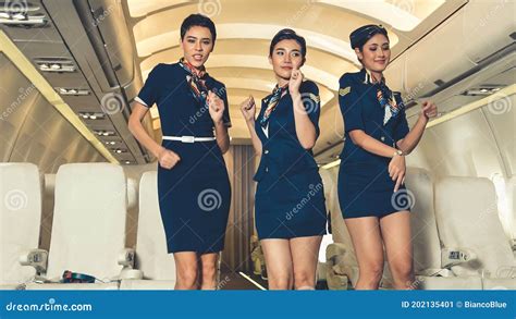 cabin crew dancing with joy in airplane stock image image of enjoy attendant 202135401