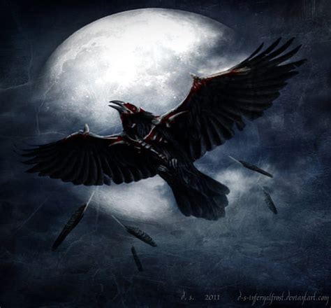 Bird Of Plague Fog Cold Funeral Fantasy Moon Darkness Feather