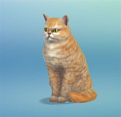 The Sims 4 Cats And Dogs 2 New Cat Screenshots