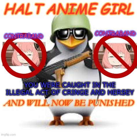 No Anime Penguin Imgflip