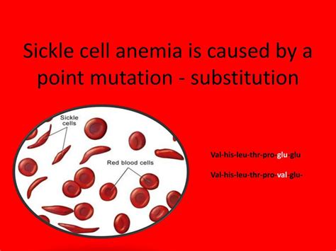 PPT - What is a mutation??? PowerPoint Presentation, free ...