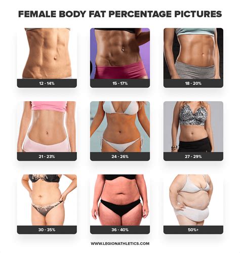body fat percentage calculator estimate your bf legion body fat percentage calculator