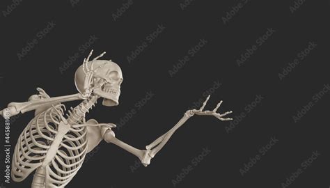 Skeleton Posing 3d Render Stock Illustration Adobe Stock