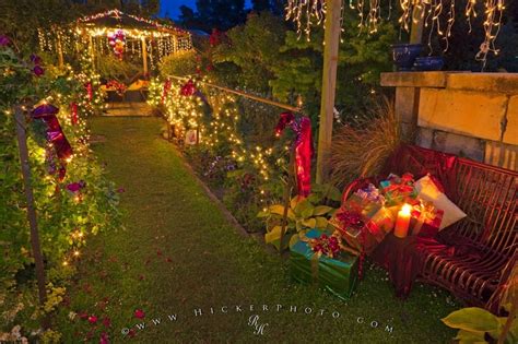 Also search for winter and snow photos to find more free images. Christmas Season New Zealand | Photo, Information