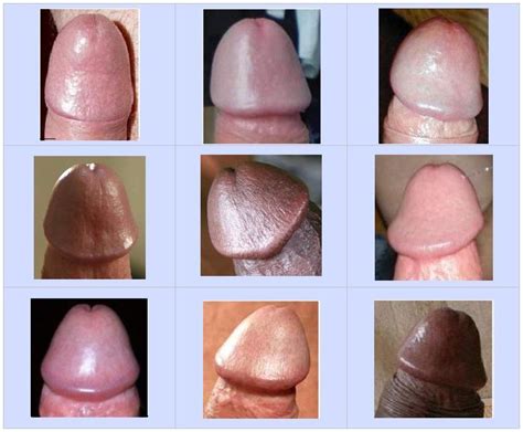 Different Axe Head Shapes Hot Sex Picture