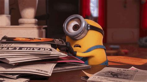 Despicable Me  Shrug Despicableme Minions Discover And Share S