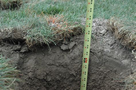 The forms do not take up much room for storage, and you can make multiple forms by following a few simple steps. Build a Wood Deck in 3 Simple Steps | Step1: POSTS ...