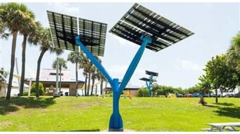 Solar Trees To Sprout In Florida Turn Suns Rays Into Energy