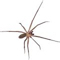 Equipment rod and rig like professionals. Do My Own - Do It Yourself Pest Control, Lawn Care ...
