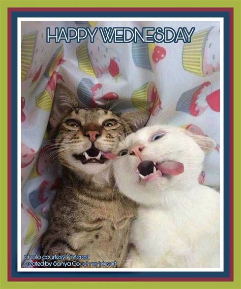 Happy Wednesday Funny Animal Pictures Funny Animals