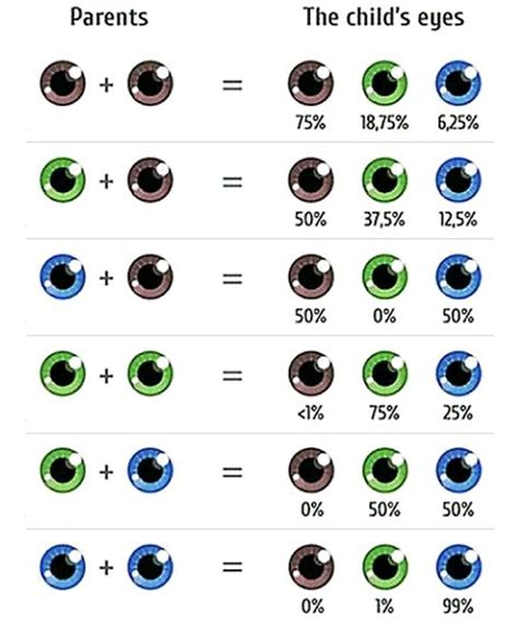What Are The Scientific Odds Of Having Hazel Colored Eyes Quora