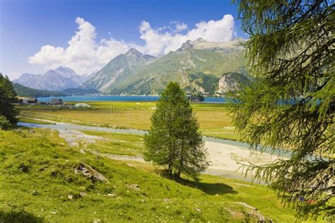 Sils Lake In The Upper Engadine Valley Switzerland Europe Stock