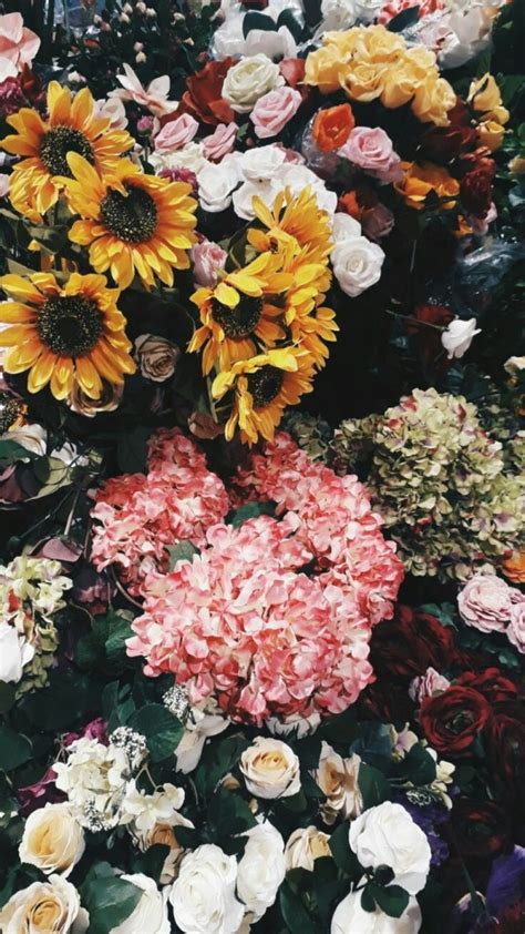 See the best flower wallpaper tumblr collection. daisy flowers iphone wallpaper | Tumblr