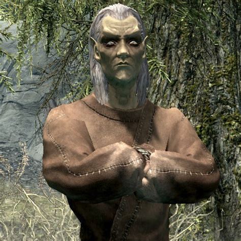 рунил скайрим. рунил скайрим. Skyrim трейнер. рунил из зала мертвых в фолкрите. убить зверя в фолкрите.