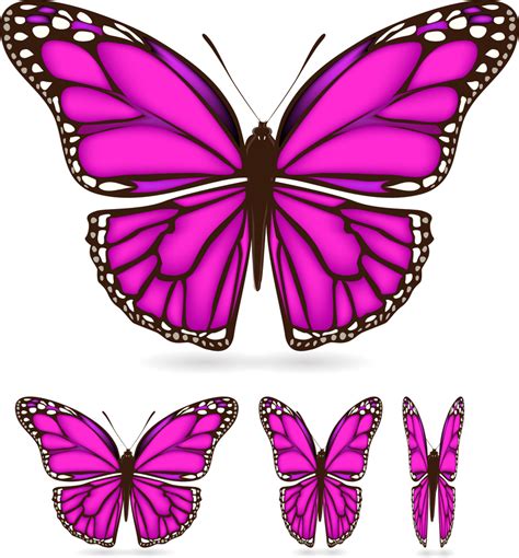 Beautiful Butterfly 02 Vector Vector Download