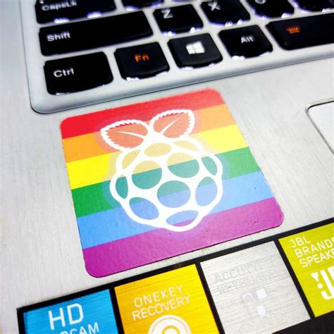 Raspberry Pi Sticker 4 In 1 Set