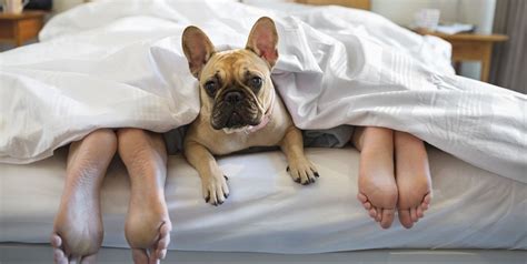 6 Ways Men And Women Sleep Differently