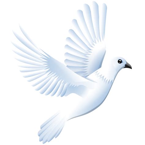 Dove Png Dove Transparent Background Freeiconspng