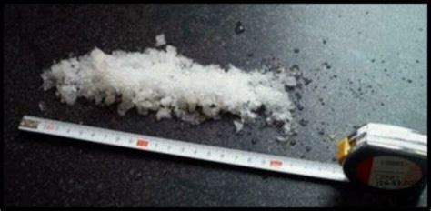 Anyone who believes that men are the equal of women has never seen a man trying to wrap a christmas present. Clean Christmas Funnies and one-liners | Funny Pictures ...