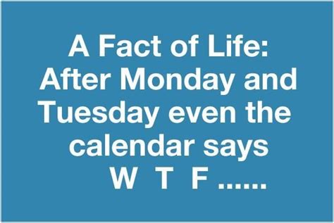 Mondays Wtf Danima Funny Facts About Life Life Facts Cute Funny