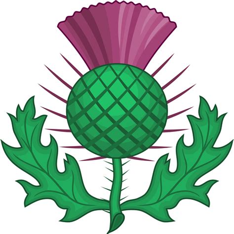 Free Thistle Download Free Thistle Png Images Free Cliparts On