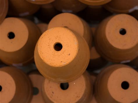 The Importance Of Holes In Pots - Can You Use Pots Without Drainage Holes