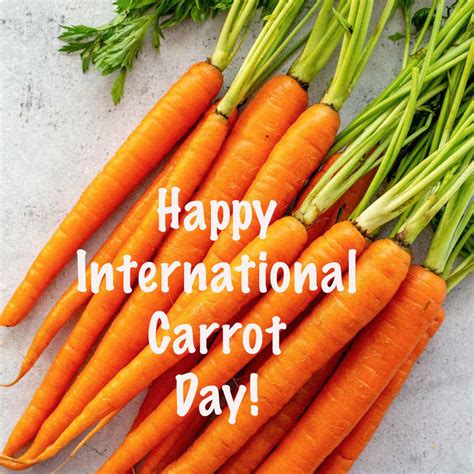 International Carrot Day April 4 2024 Happy Days 365