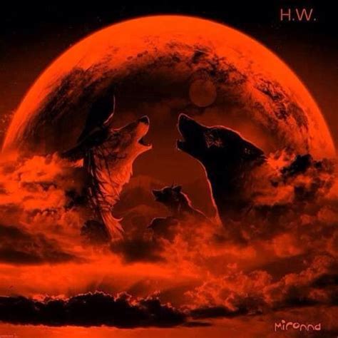 1000 Images About Super Cool Blood Moons On Pinterest Sky Wolves