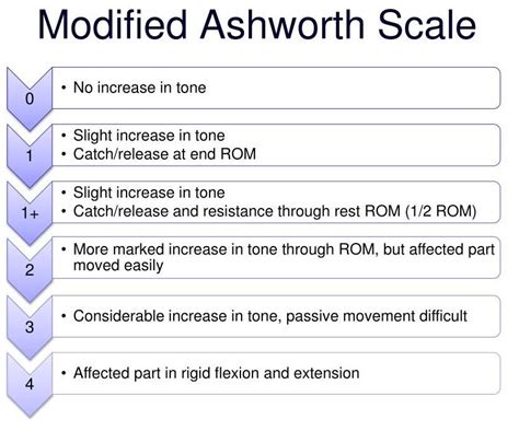 Spasticity Assessment Modified Ashworth Scale