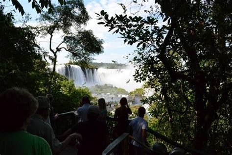 tripadvisor iguassu falls brazilian side and bird park and macuco exklusiv gran meliá iguazú zur