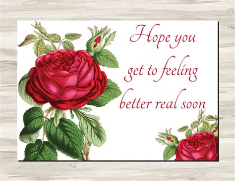 Hope You Feel Better Flowers