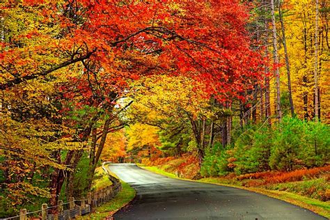 The Ultimate New England Fall Foliage Road Trip Lonely Planet