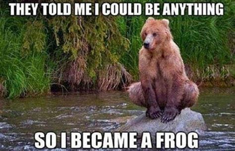 Funny Bear Pictures