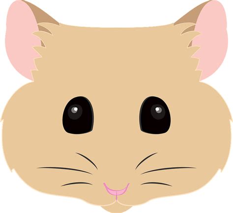 Hamster Face Clipart Free Download Transparent Png Creazilla