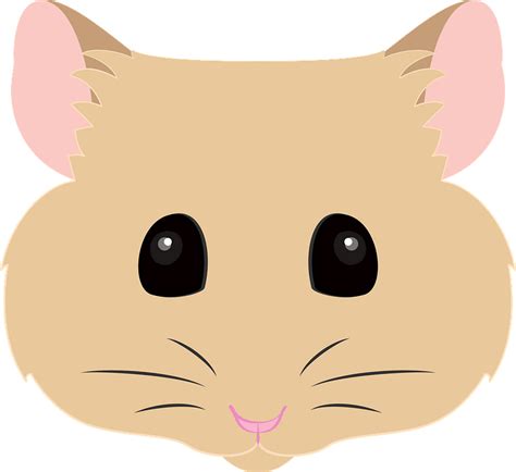 Hamster face clipart. Free download transparent .PNG | Creazilla