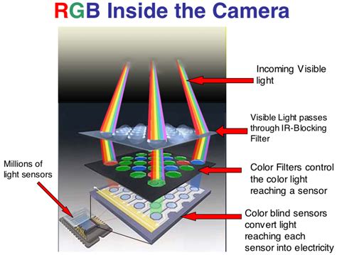Digital camera, device for making digital recordings of images. A Guide for Understanding the Camera Sensor - Digital ...