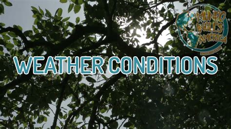 Weather conditions - YouTube