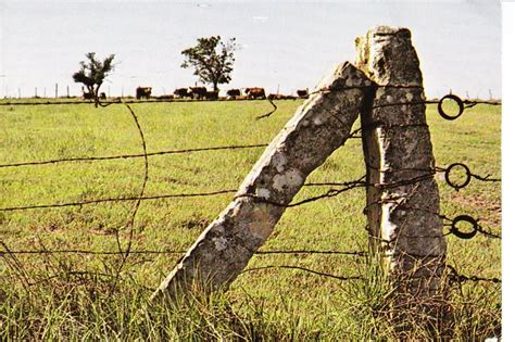 Kansas Limestone Fence Post