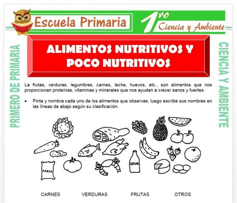 Alimentos Nutritivos Y No Nutritivos Para Primero De Primaria Escuela